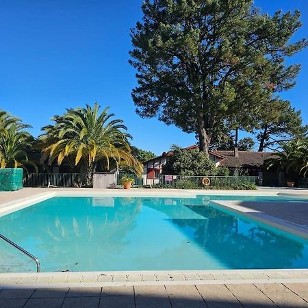 T2 Ciboure 4 Pers Avec Piscine Ideal Vacances Esterno foto
